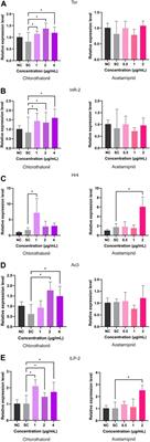 Exposure of chlorothalonil and acetamiprid reduce the survival and cause multiple internal disturbances in Apis mellifera larvae reared in vitro